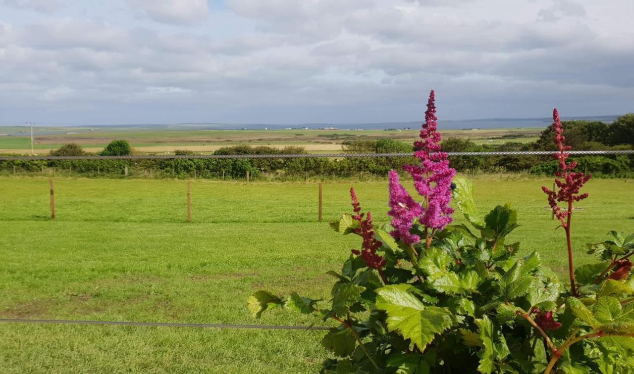 Lilly'S Lodges Orkney Hedgehog Lodge Finstown 外观 照片