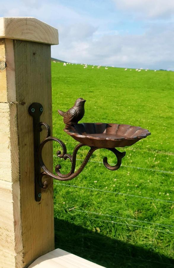 Lilly'S Lodges Orkney Hedgehog Lodge Finstown 外观 照片