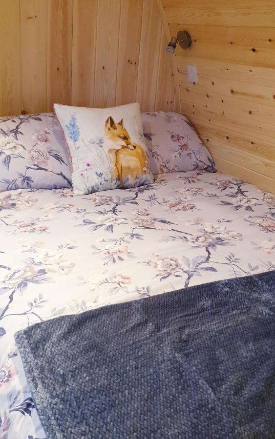 Lilly'S Lodges Orkney Hedgehog Lodge Finstown 外观 照片